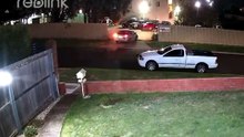 Devonport car thefts