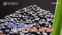 갱년기 체중 증가 딱! 잡아주는 서리태 콩물 두유?! 다이어트 성공을 위한 해결책이 되었다