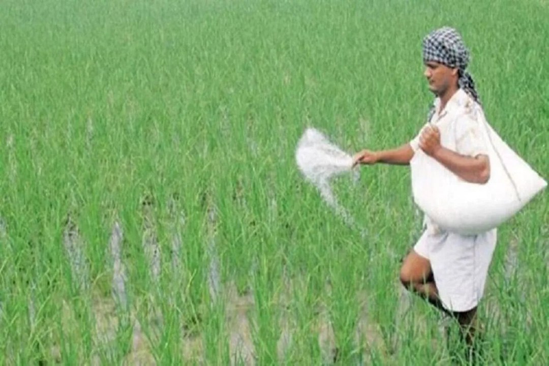 swm news: अतिवृष्टि से चौपट हुई थी फसलें:अब बीमा योजना बनी किसानों का सहारा