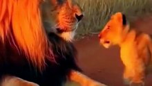 😹 Funny Cat Compilation 2026 – Non Stop Laughter Guaranteed  32