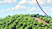 Cleaning Up the Earth