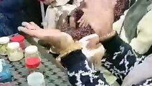 PERTANDINGAN VIDEO RAYA MAIWP : RAYA KAN SEBULAN - KIDS SUMAYYAH