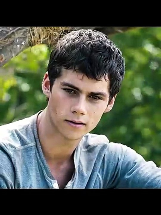 Maze Runner 2014 Full Movie Recap