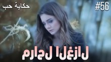 مشاهد الغزال
