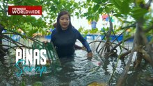 Kara David, sumabak sa panghuhuli ng crab muds sa Batalay Mangrove Park! | Pinas Sarap