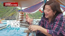 Kara David, sumama sa paghuli ng mga pugita sa Catanduanes! | Pinas Sarap