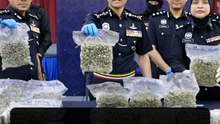 Drug gangs busted with seizures worth RM17.8mil in KLIA, Ampang Jaya