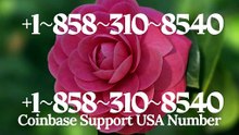 &JOIN ME&Coinbase™ Customer Care™ US Helpline™ Number: 2026 Help Guide
