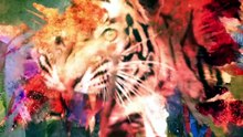 From Gir Forest to River Ganges @ India Nature’s Wonderland 印度大自然的仙境
