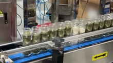 double head capping machine