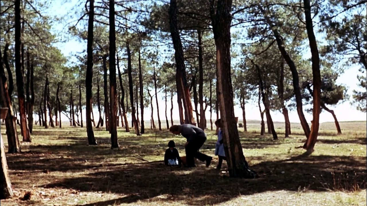 El espíritu de la colmena (1973).1080p