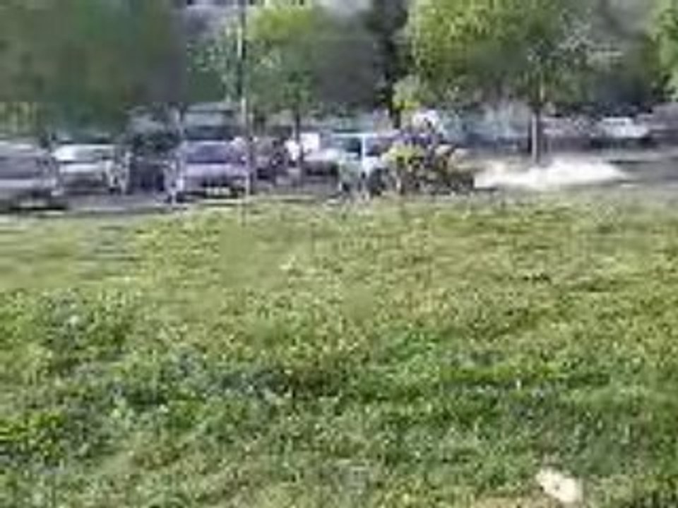 Ali  2