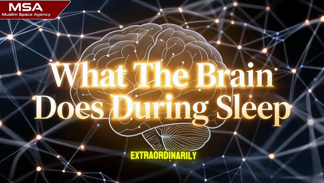 What Actually Happens When You Sleep — The Science and What Islam Calls the Minor Death