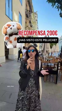 Un couple promet 200 € de récompense à quiconque aidera à retrouver un sac volé contenant la peluche de leur fils décédé à Séville: Un petit morceau de notre fils qui n'est plus là