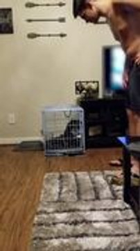 Puppy Repeatedly Opens Crate Door Each Time Owner Closes It