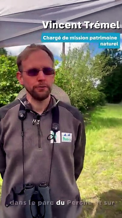 Tout savoir sur le plus grand chantier Natura 2000 de Normandie, dans le Perche