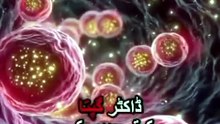 How to reverse cancer