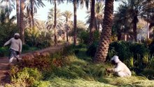 مسلسل خيوط المعازيب الحلقة3 الثالثه كاملة | HD