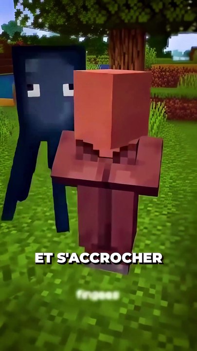 🤔 Donne ton avis en commentaire ! #minecraft