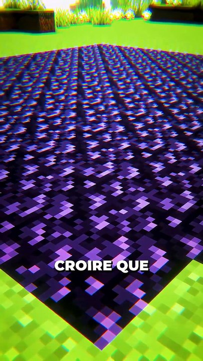 🤔 Donne ton avis en commentaire ! #minecraft