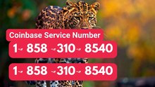 ⇶⇶Full List of ⇶{Coinbase}⇶ Support®Customer Service™ USA Contact Numbers
