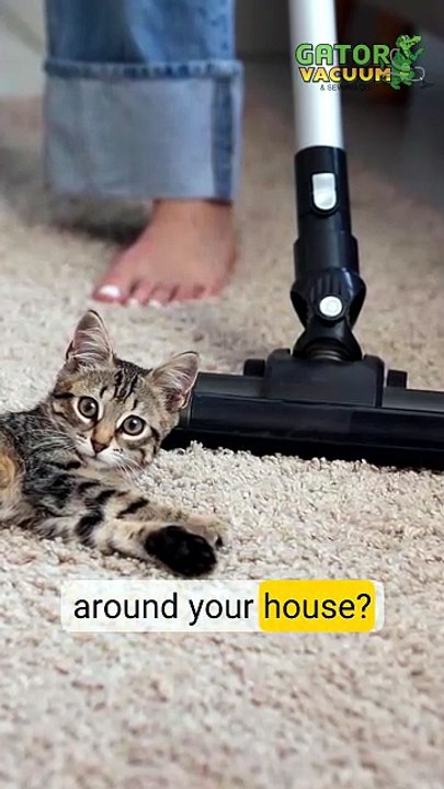 Gator Vacuum Explains the Different Types of Central Vacuum Systems for Modern Homes