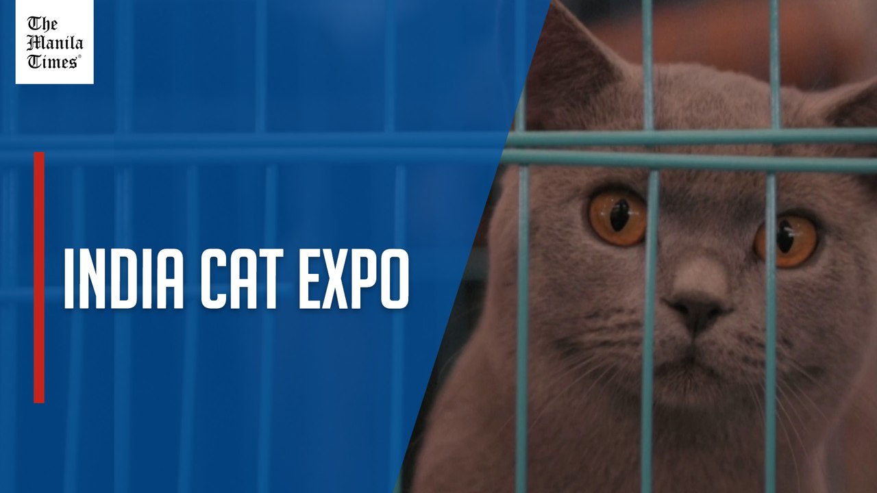 Pet-lovers attend India cat expo