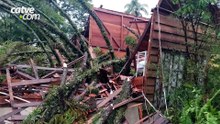 Araucária centenária derruba estrutura de mosteiro durante temporal em Ponta Grossa