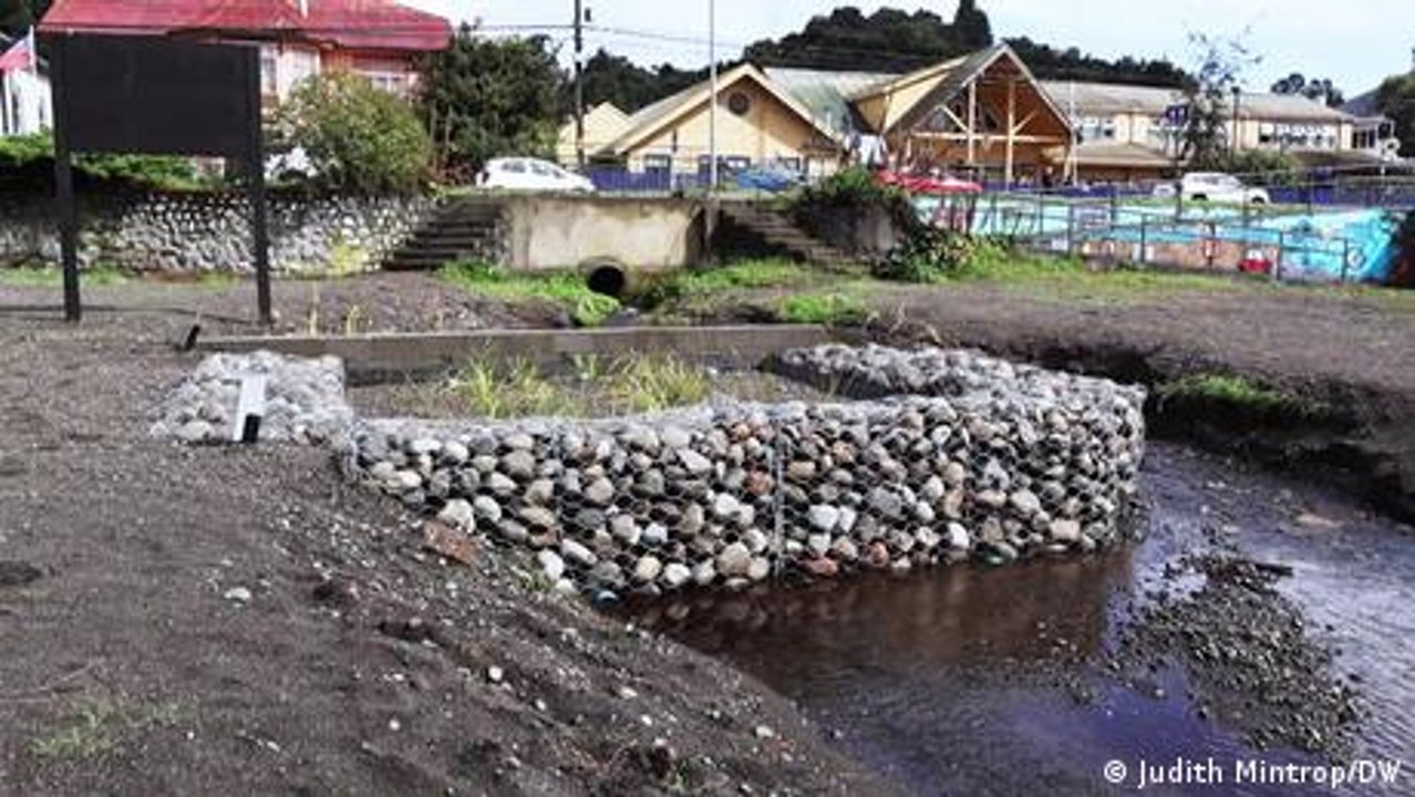 Soluciones naturales para el Lago Llanquihue