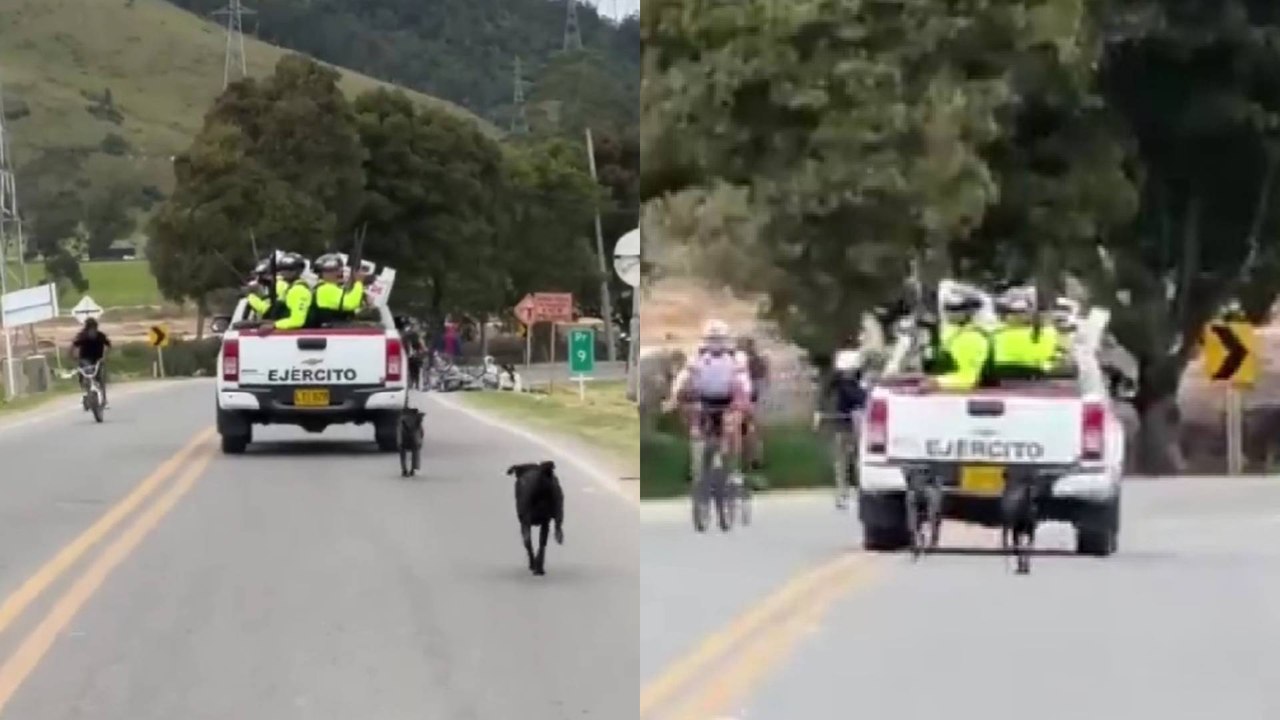Video | Denuncian que militares habrían abandonado a dos perros en plena vía: los animales corrían detrás de ellos