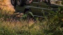 Jungle Safari || Acharya Prashant