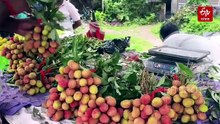 কাঁচা লিচুতে ভরেছে বাজার, লিচি সিনড্রোমের প্রাদুর্ভাবের আশঙ্কায় প্রশাসন