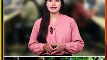 भारत-नेपाल सीमा पर तस्करी का भंडाफोड़ | SSB ने पकड़ा 720KG अवैध कद्दू बीज