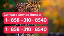 क⇛क⇛【Coinbase®】Customer- Service And.Support } Number - Complete Guide to Live Chat,, and 24/7 Service Care℗ WALLET SUPPORT