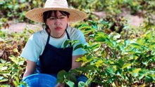 Azure Spring Episode-03 [Eng Sub]