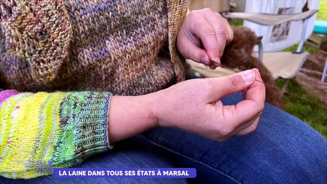 Textile, isolation… À la fête « Laine et sel » à Marsal, les idées ne manquent pas pour valoriser la laine de mouton