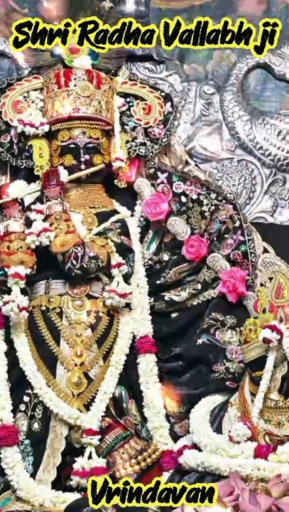 Shri Radha Vallabh Ji Mandir Vrindavan Darshan | श्री राधा वल्लभ जी दर्शन |