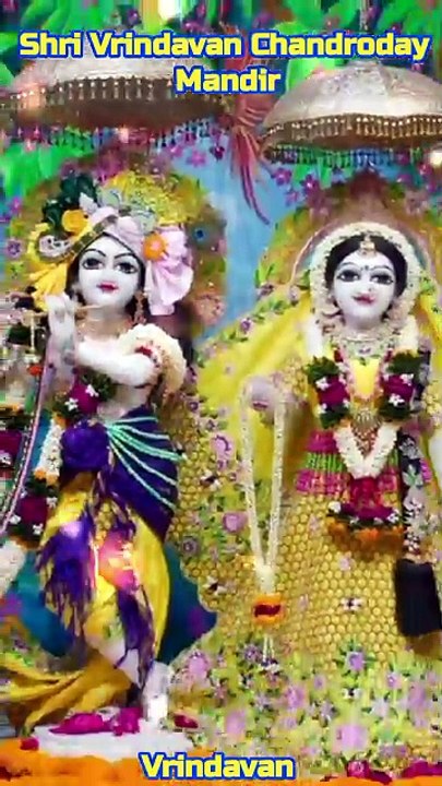 Vrindavan Chandrodaya Mandir Darshan |