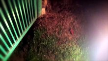 Homestay Abadi (POV horror)
