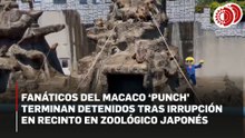 Policía de Ichikawa acusa a dos turistas de EU por obstrucción tras irrupción en el recinto del mono 'Punch'