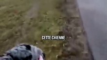 Quand il la reconnu