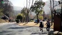 the way 3
