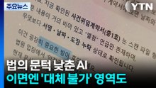 법의 문턱 낮춘 AI...이면엔 '대체 불가' 영역도 / YTN