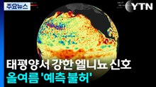 태평양서 강한 엘니뇨 신호...올여름 '예측 불허' / YTN