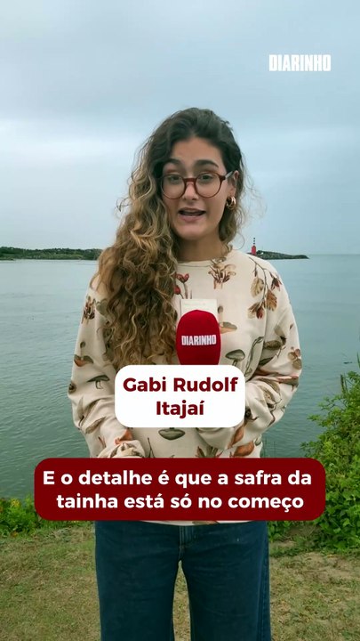 Cardume histórico de tainhas é flagrado na costa de Laguna