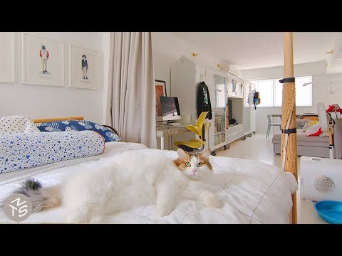 NEVER TOO SMALL: Singapore Graphic Designer’s Maximalist Apartment - 59sqm/635sqft