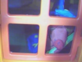 "Pourquoi les zèbres ont-ils des rayures ?" - Cycle 3