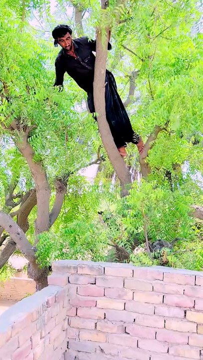 Khansi hi khansi
