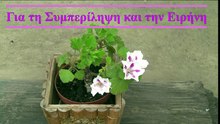 (071-2026) Συμπερίληψη και Ειρήνη
