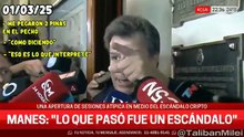 Recopilación de algunas de las mentiras de Manes
